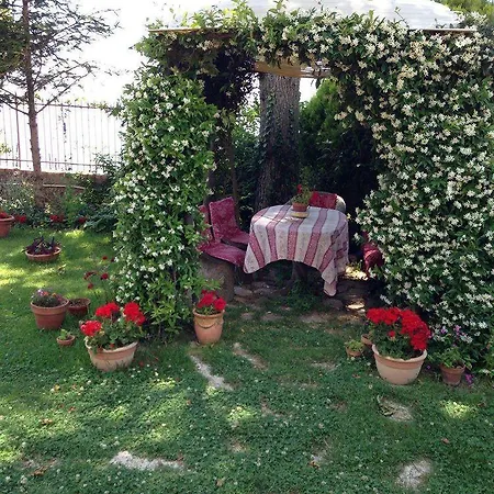 尼多德利雷酒店 农家乐 *