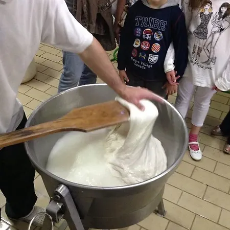 Nido Degli Dei *