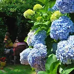 Nido Degli Dei Vakantieboerderij Agerola
