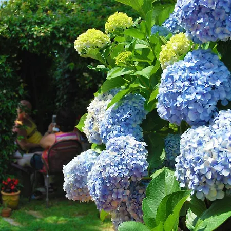 Nido Degli Dei Feriegård Agerola